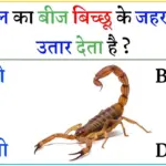 General Fact In Hindi: 1 देसी सीक्रेट, 10 डॉक्टर भी चौंक जाएं, बिच्छू के जहर का फ्री इलाज