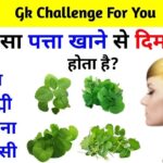 GK Quiz in Hindi: कौन सा पत्ता खाने से दिमाग तेज़ होता है?